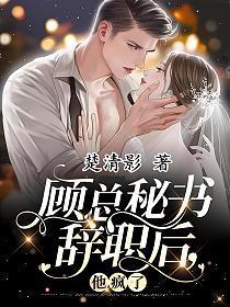 顾总秘书辞职后,他疯了