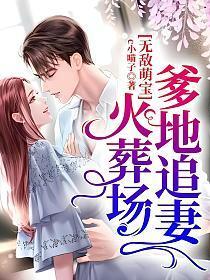 无敌萌宝,爹地追妻火葬场