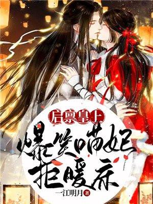 启禀皇上:爆笑喵妃拒暖床