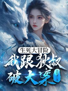 狄叔携我破诡案