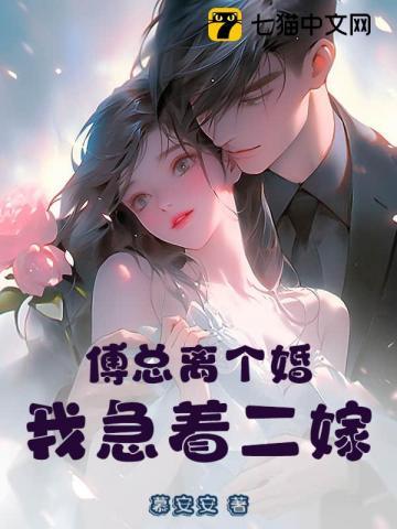 傅总离个婚,我急着二嫁