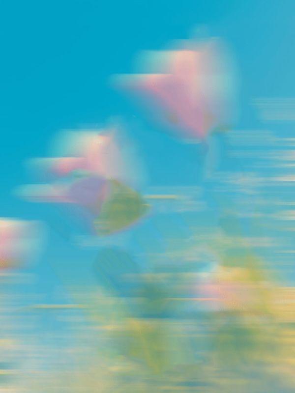 重生八零为娶青梅假死的丈夫我不要了