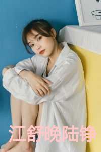 江舒晚陆铮