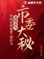 官秘:万人之上