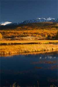 垂钓十年,我成隐士高人全文小说