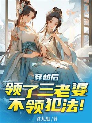 穿越后领了三个老婆,不领犯法!