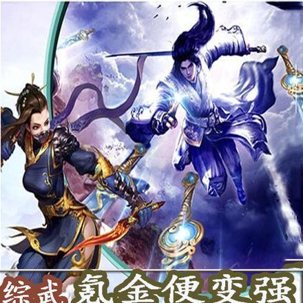 综武,氪金便变强开局爆捶朱无视