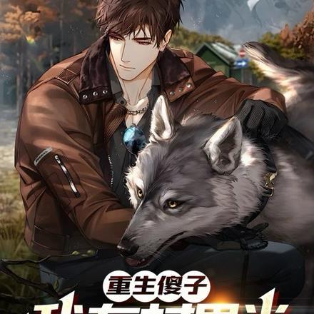 重生傻子:我在村里当霸总