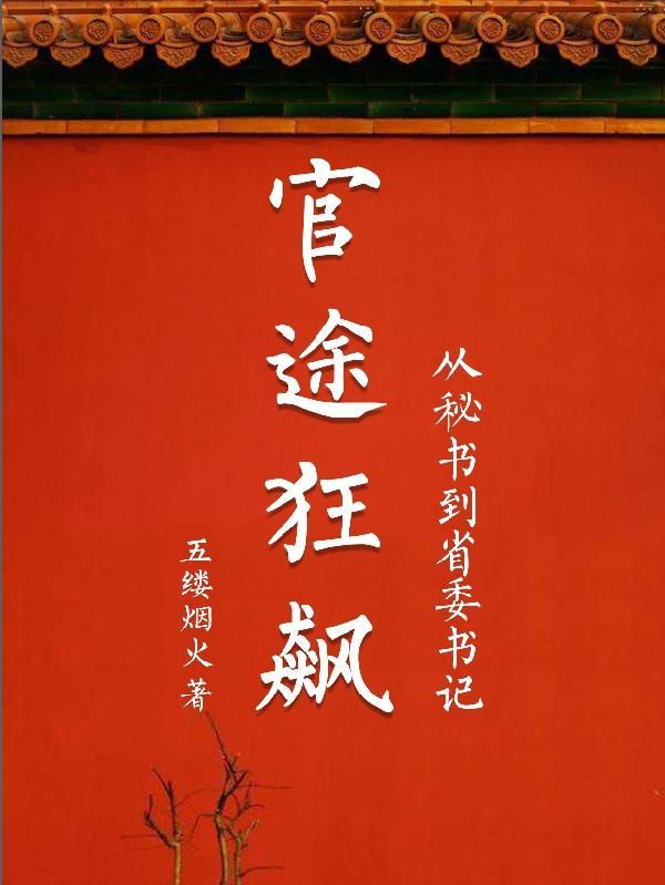 官途狂飙:从秘书到省委书记
