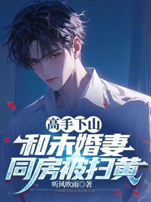 高手下山:和未婚妻同房被扫黄