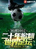 2002年世界足球