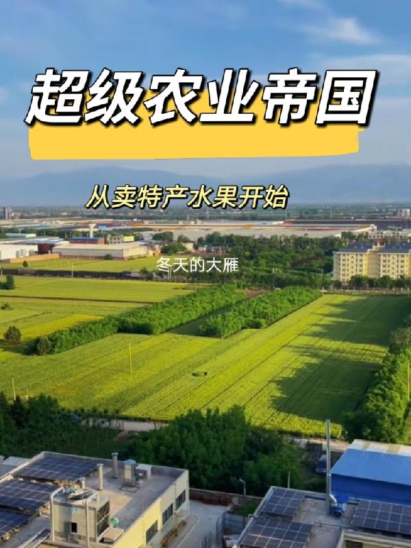 超级农业强国小说下载