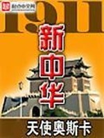 1911新中华小说全文阅读