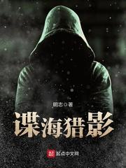 谍海猎影TXT百度