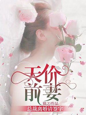 总裁天价前妻别想逃