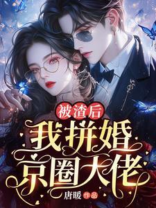 被渣后,我拼婚京圈大佬