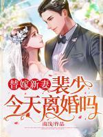 替嫁新妻:裴少,今天离婚吗