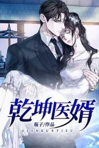 乾坤医婿完结全本